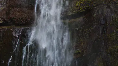 Forest Falls 15 | Church Motion Graphics