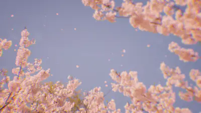 Dreamy Blossoms Sky | Church Motion Graphics