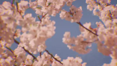 Dreamy Blossoms Praise | Church Motion Graphics