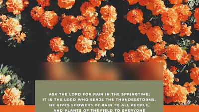 Ask The Lord For Rain Spring Flowers Zechariah 10:1 | Church Motion ...